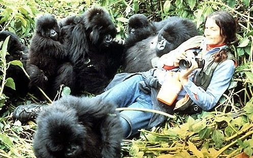 Dian Fossey Photo